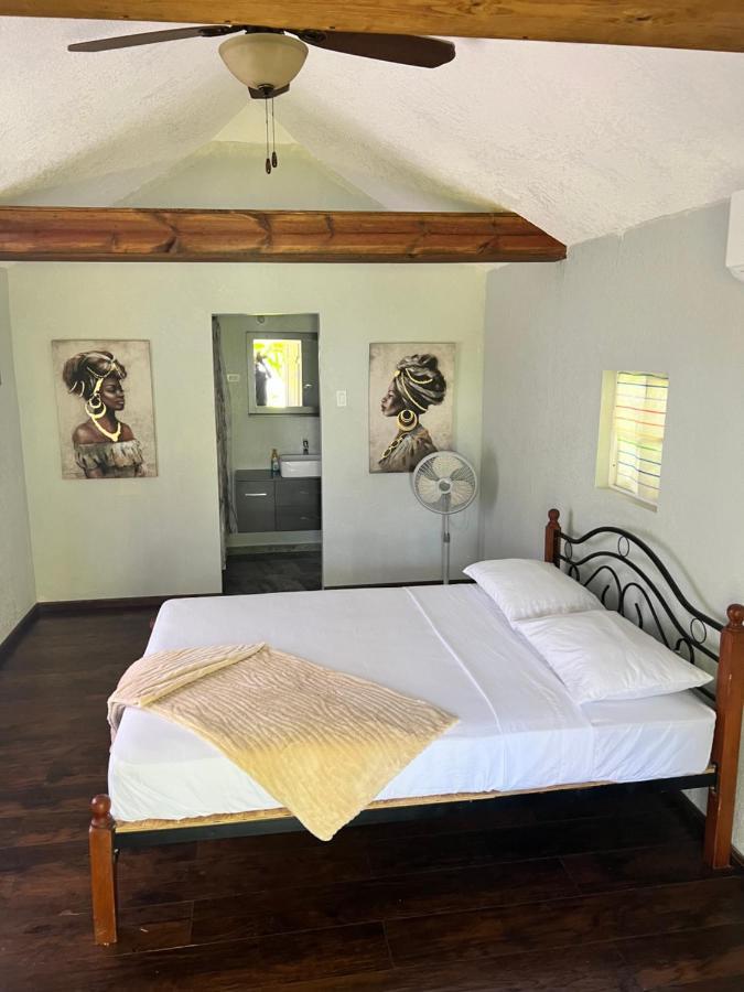Jamaica Colors Hotel And Eco-Retreat بورت أنطونيو المظهر الخارجي الصورة