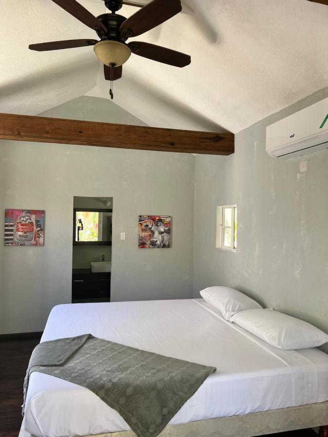 Jamaica Colors Hotel And Eco-Retreat بورت أنطونيو المظهر الخارجي الصورة