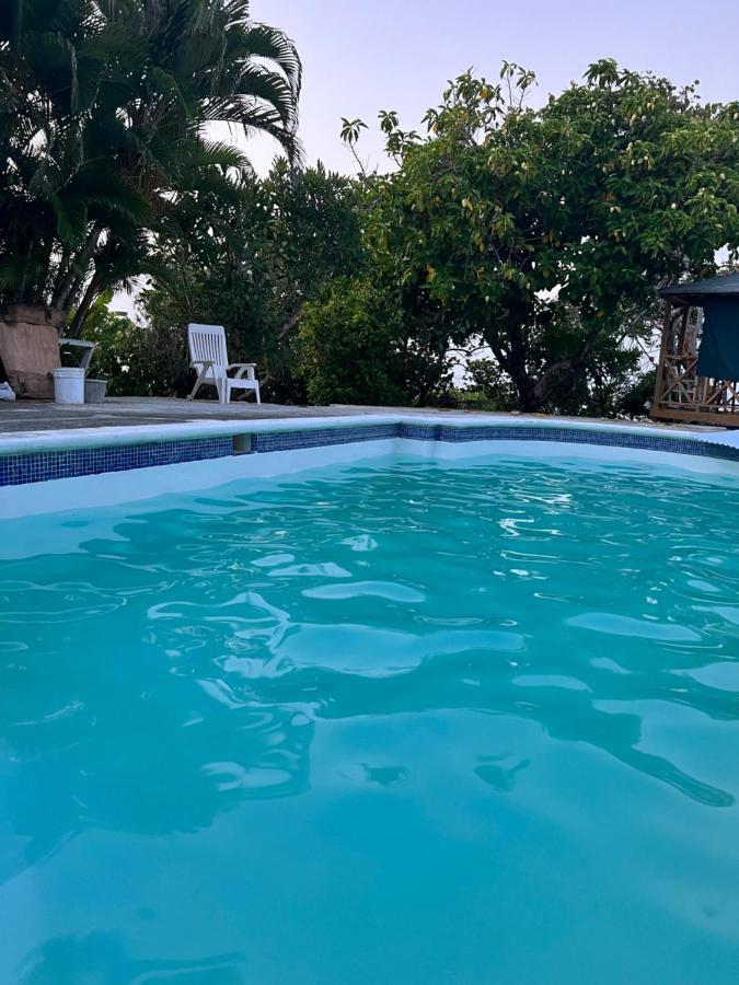 Jamaica Colors Hotel And Eco-Retreat بورت أنطونيو المظهر الخارجي الصورة