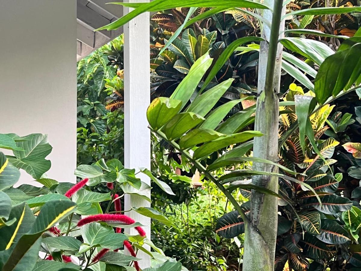 Jamaica Colors Hotel And Eco-Retreat بورت أنطونيو المظهر الخارجي الصورة