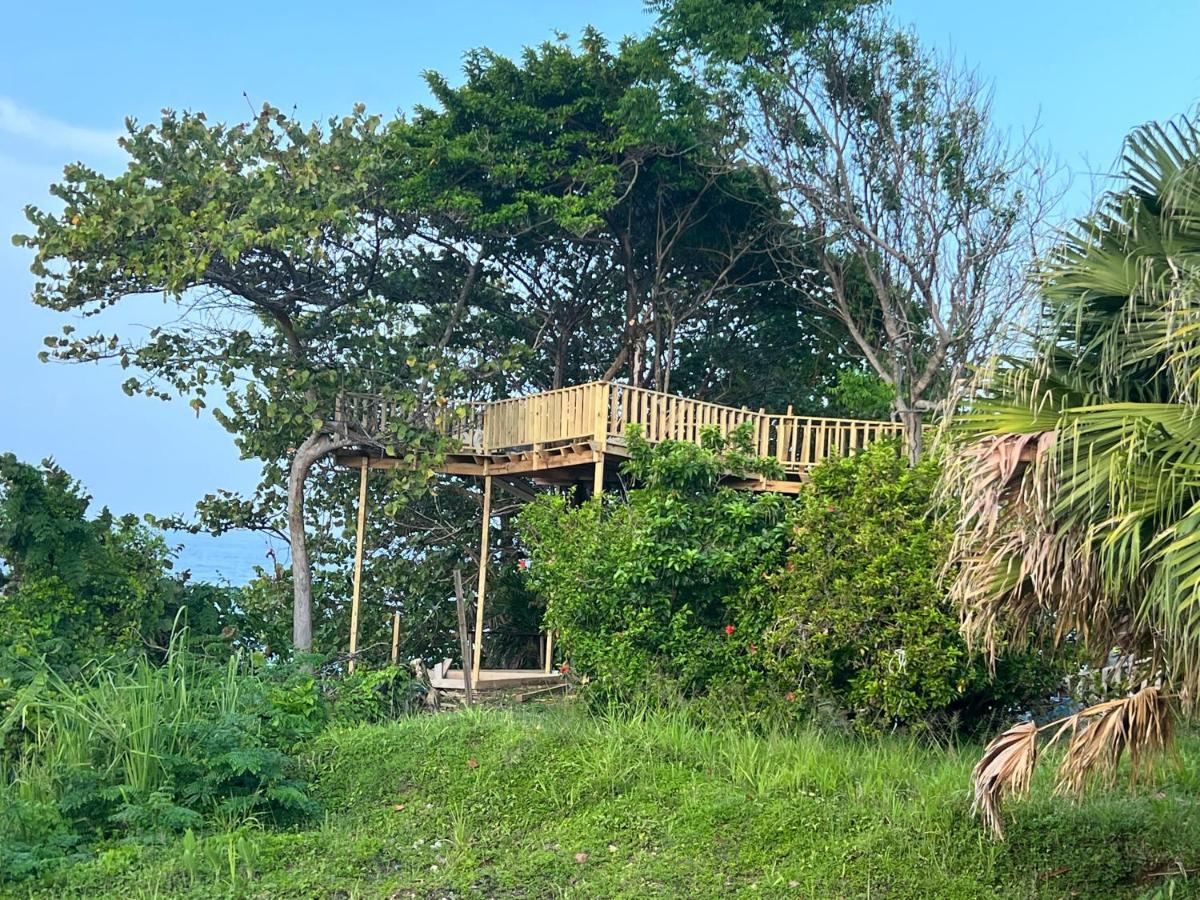 Jamaica Colors Hotel And Eco-Retreat بورت أنطونيو المظهر الخارجي الصورة