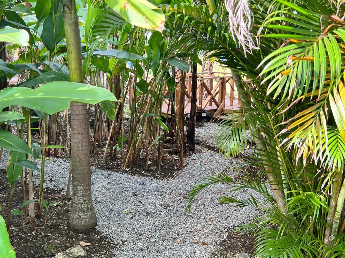 Jamaica Colors Hotel And Eco-Retreat بورت أنطونيو المظهر الخارجي الصورة