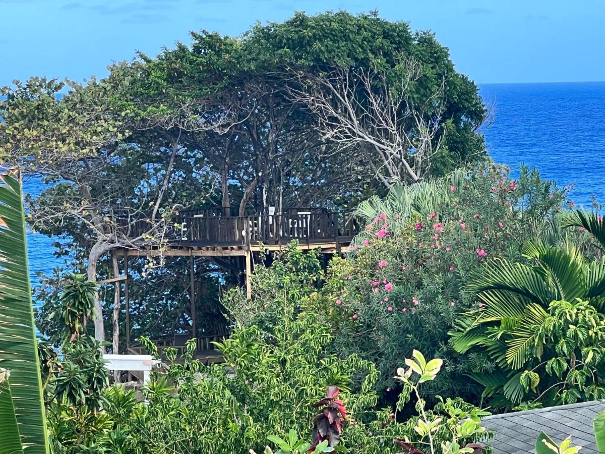 Jamaica Colors Hotel And Eco-Retreat بورت أنطونيو المظهر الخارجي الصورة