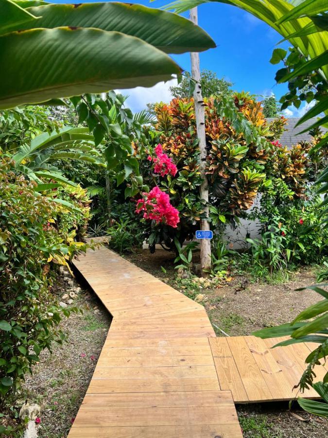 Jamaica Colors Hotel And Eco-Retreat بورت أنطونيو المظهر الخارجي الصورة