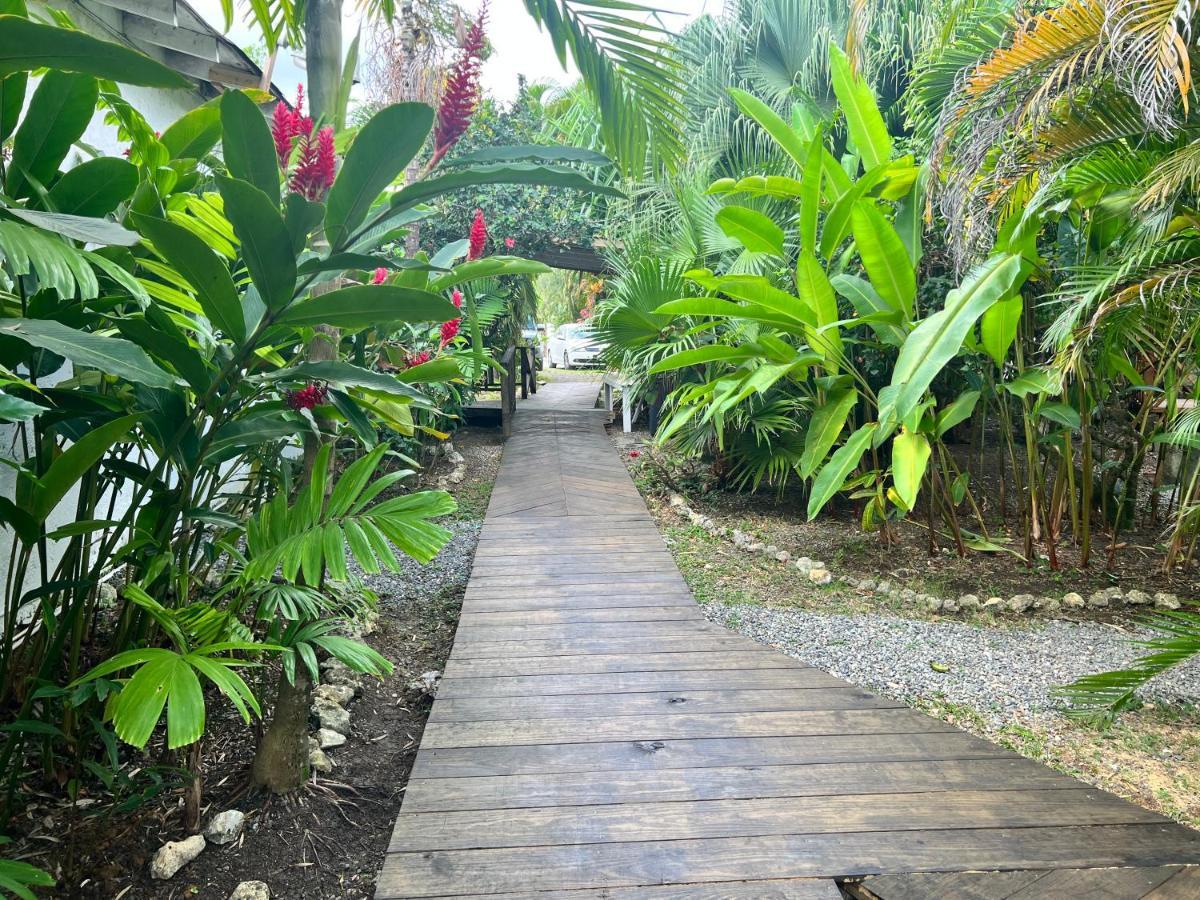 Jamaica Colors Hotel And Eco-Retreat بورت أنطونيو المظهر الخارجي الصورة