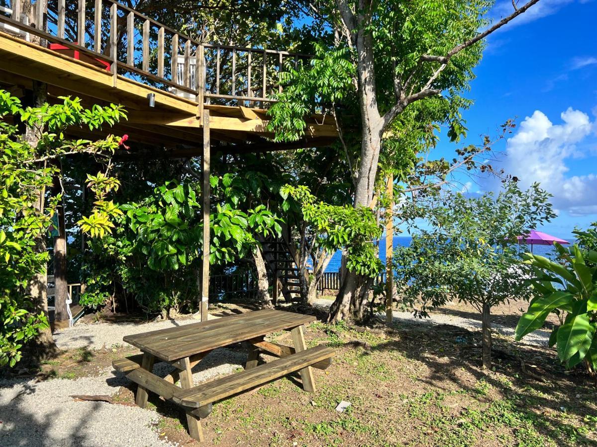 Jamaica Colors Hotel And Eco-Retreat بورت أنطونيو المظهر الخارجي الصورة