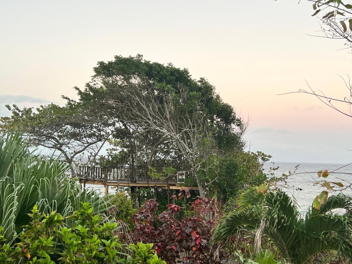 Jamaica Colors Hotel And Eco-Retreat بورت أنطونيو المظهر الخارجي الصورة