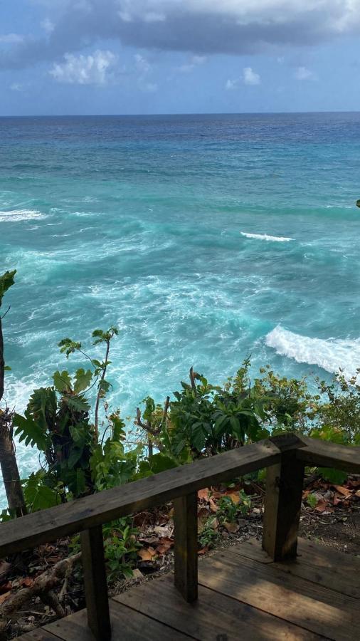 Jamaica Colors Hotel And Eco-Retreat بورت أنطونيو المظهر الخارجي الصورة