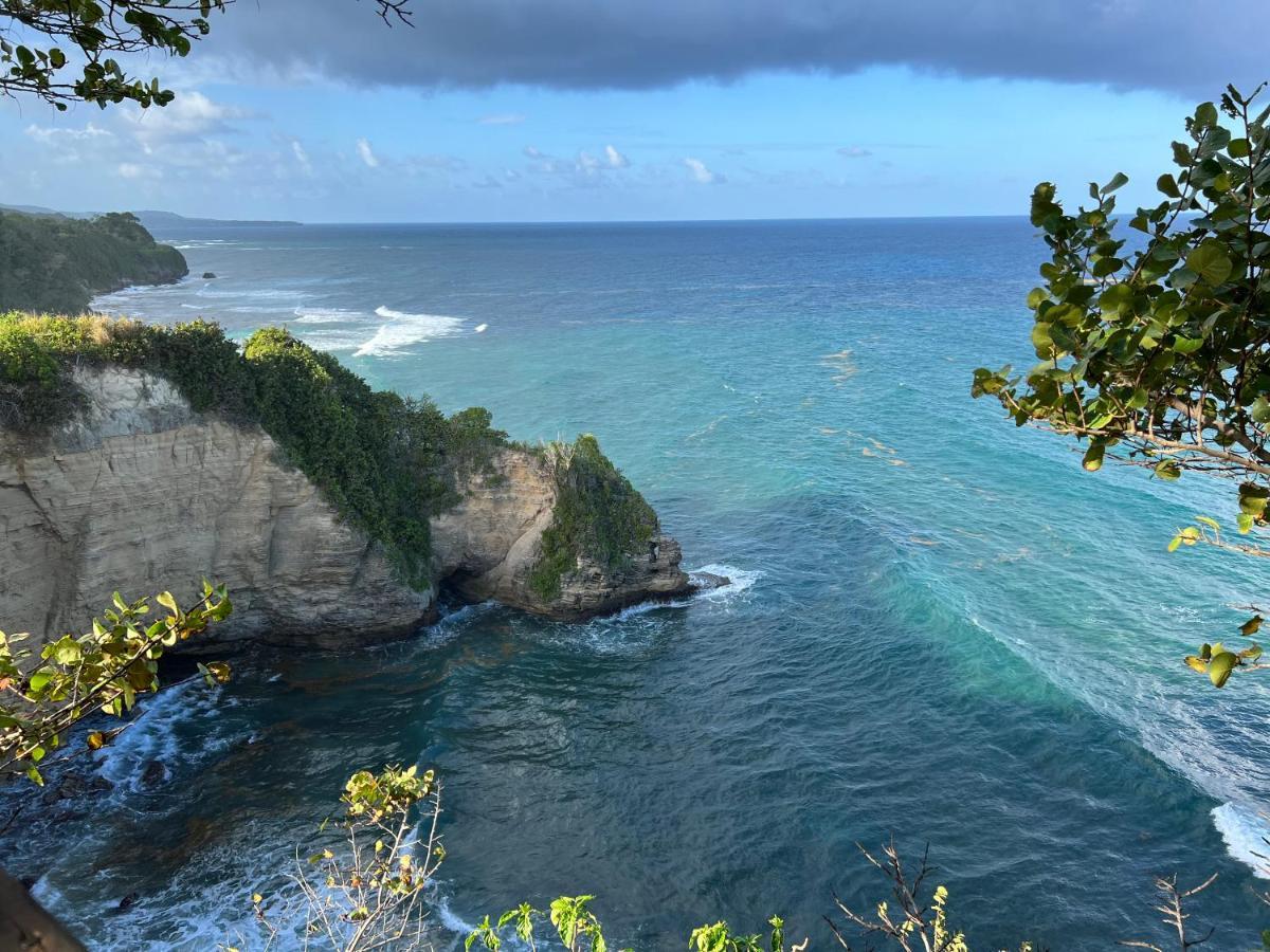 Jamaica Colors Hotel And Eco-Retreat بورت أنطونيو المظهر الخارجي الصورة