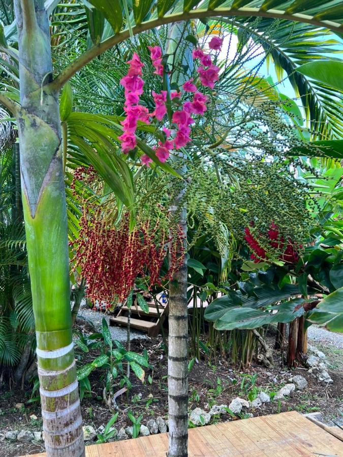 Jamaica Colors Hotel And Eco-Retreat بورت أنطونيو المظهر الخارجي الصورة