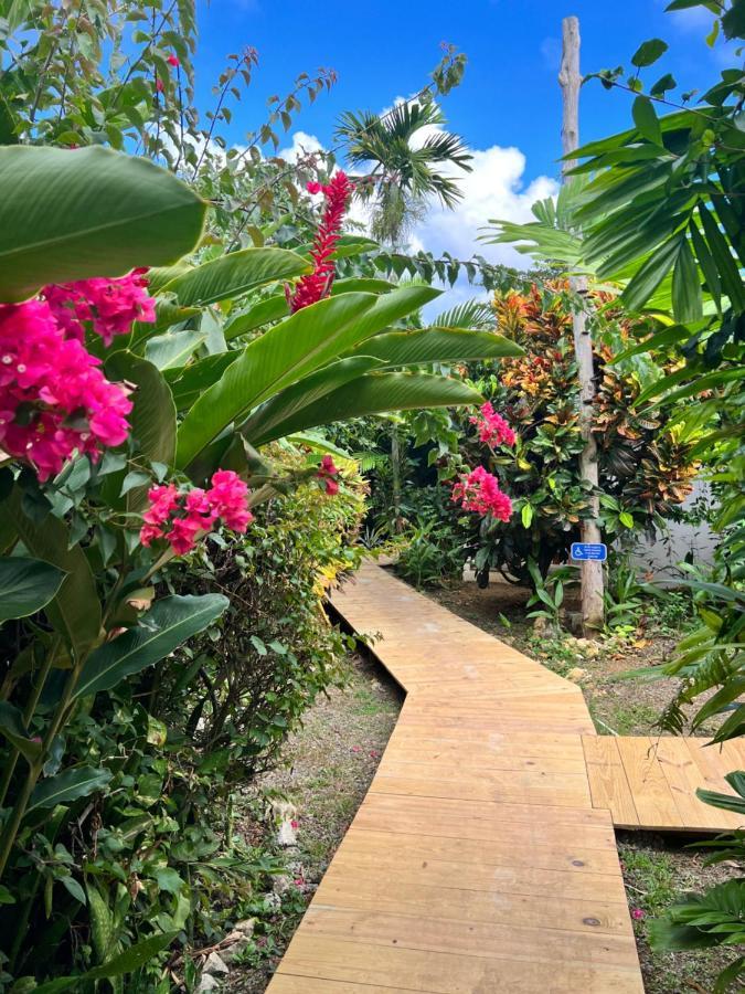 Jamaica Colors Hotel And Eco-Retreat بورت أنطونيو المظهر الخارجي الصورة