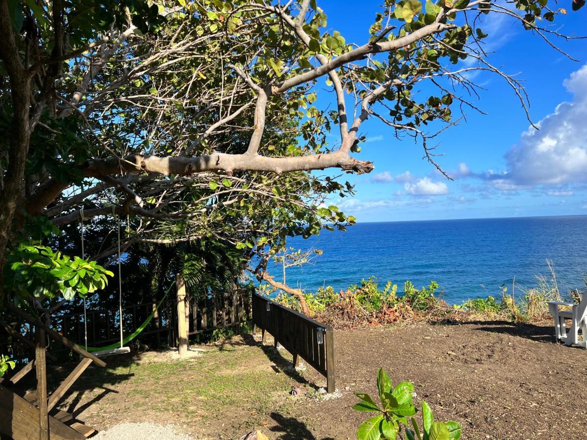 Jamaica Colors Hotel And Eco-Retreat بورت أنطونيو المظهر الخارجي الصورة