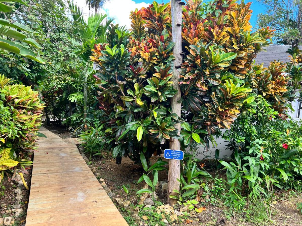 Jamaica Colors Hotel And Eco-Retreat بورت أنطونيو المظهر الخارجي الصورة